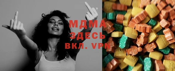 индика Алексин