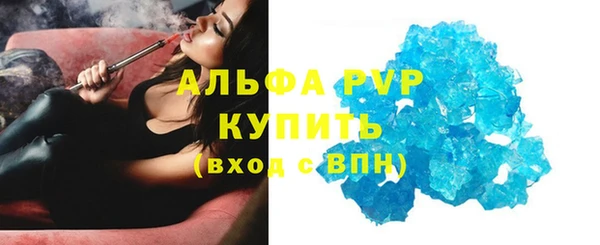 индика Алексин
