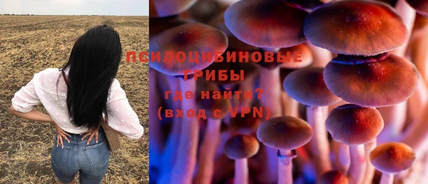 хмурый Алексеевка
