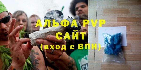 индика Алексин