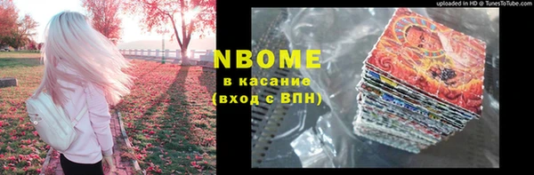 индика Алексин
