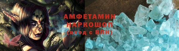 индика Алексин