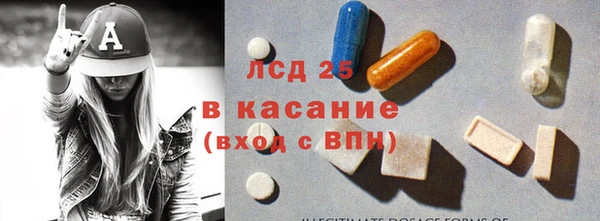 индика Алексин