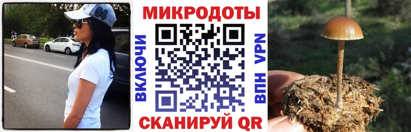 Галлюциногенные грибы ЛСД Калининск