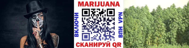 Конопля Bruce Banner  Калининск 
